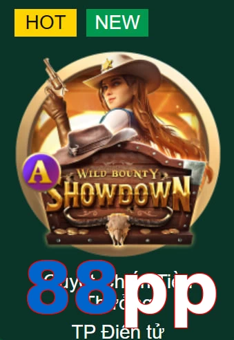 88pp